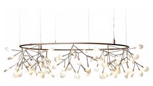 Image result for Heracleum