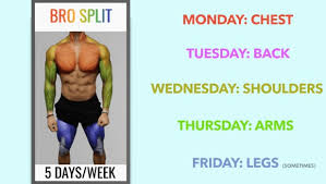 Best Workout Split Training Routines For Upper And Lower Body