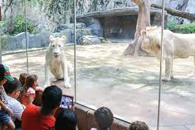 Sunway lagoon theme park is a premier theme park which was voted as asia's most popular an extreme park and wildlife zoo are also located here. Wildlife Park Educational Programme Sunway Lagoon Theme Park