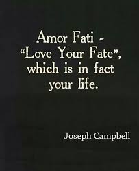 Splendouria Wisdom Quotes Insightful Quotes Joseph Campbell Quotes