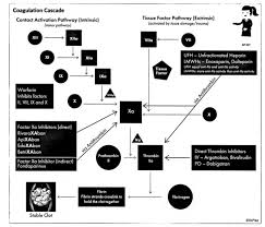 Image result for Anticoagulation Pathway