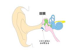 細田耳鼻科