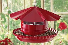 Fill the bin with black oil sunflower seeds, and the birds will come! Pie Tin Diy Bird Feeder Backyard Projects Birds And Blooms