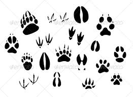 Animal Footprints Silhouettes Animal Footprints Animal Silhouette Silhouette Drawing