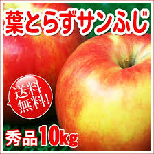 葉とらずサンふじ 秀品 約10kg 送料無料 Hatorazu10kg くだもの屋 通販 Yahoo ショッピング