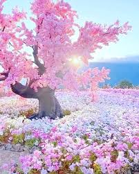 129 Likes 12 Comments Tabassum Nisha Iamtabassum1 On Instagram Manjil Toh Sab Ka Allah Ha In 2020 Beautiful Places Nature Beautiful Nature Nature Photography