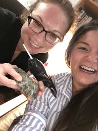 Fish‑WIKS' Master Students in New Roles