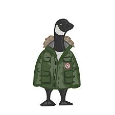 Domestic goose illustration vector goose goose caroon cow icon flat goose cute vector isolated cartoon goose cute goose goose cute vector of goose goose illustration. Northwestern Animal Spottings