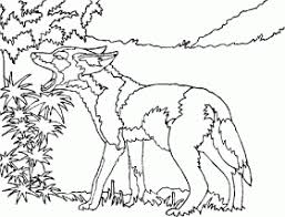 The coyote coloring pages are full of exciting pictures and stories to help children make the connection between their pictures and the pictures on the page. Free Printable Coyote Coloring Pages For Kids Coloring Home