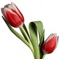 RAJBEER KAUR (@rajrajbeer)