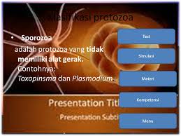 Protozoa Loading Ppt Download