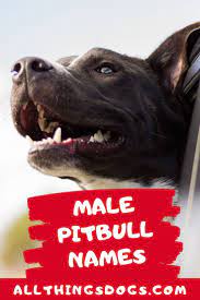 See the pronunciation key for a guide on how to write the sounds; Names That Start With Bull Hno At