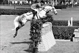 The world record long jump was set on april 26, 1975, by a horse named something ridden by a mr. The Essential History Of Show Jumping
