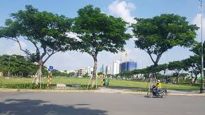 Lô 2a10 võ văn kiệt , q. Ä'a Náºµng Khang Cao Báº¥t Thanh Thua Kiá»‡n Doanh Nghiá»‡p Trong Vá»¥ Há»§y Káº¿t Quáº£ Ä'áº¥u Gia Lo Ä'áº¥t Vang Vá»›i Vipico Bao NgÆ°á»i Lao Ä'á»™ng