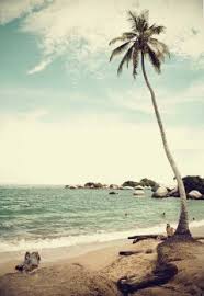 life is a beach beach life quotes | Free Photos via Relatably.com