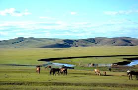 呼伦贝尔莫尔格勒河_大草原包车_自驾游_莫尔格勒河_呼伦贝尔精华景点_呼伦贝尔多娇旅游包车官方网站