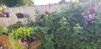 We did not find results for: 14 Vegetables To Grow In A Small Garden