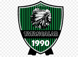 Sakaryaspor şampiyonluk için stada gidiyor. Sakaryaspor Green