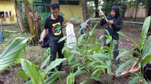 Bercocok tanam juga melatih tangan kita untuk menjadi lebih kuat dan terampil. Agriquran Gelar Kuliah Online Bercocok Tanam Dari Rumah Tribun Medan