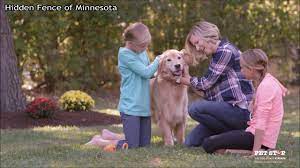 As much as the pet store asks for them. Dog Fence Sales Service Pricing Hidden Fence Of Minnesota