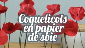 Article rédigé et destiné à un journal : Coquelicots En Papier De Soie Video Dailymotion