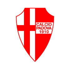 Il termine vettoriale è associato alla parola logo quando, ad esempio, un grafico ne fa richiesta. Calcio Padova