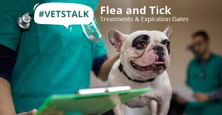 We did not find results for: Does Expired Nexgard Still Work Archives Budgetvetcare Blog