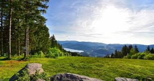 Aussicht Vom Hochfirst Auf Den Titisee Schwarzwald Blackforest Hochschwarzwald Blackforestphotos Nature Natur Outdo Hochschwarzwald Schwarzwald Titisee