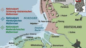 Das wattenmeer der nordsee ist eine im wirkungsbereich der gezeiten liegende, etwa 9000 km² große, 450 km lange und bis zu 40 km breite landschaft zwischen skallingen, dänemark, im nordosten und den helder, niederlande, im südwesten. Wattenmeer Leben Zwischen Ebbe Und Knutt Wissen Sz De