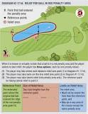 Image result for what does penalty area mean in golf