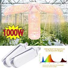 2021 popular ranking keywords trends in lights & lighting, home & garden, automobiles & motorcycles with sunlight grow led and ranking keywords. Fan Form Warmlichter Full Spectrum Led Grow Lights Sunlight Growing Lamp Fur Gewachshauspflanzen Gunstig Im Onlineshop Von Joom Kaufen