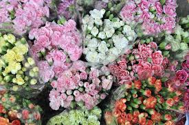 Check spelling or type a new query. Benefits Of Buying Wholesale Flowers Floraqueen