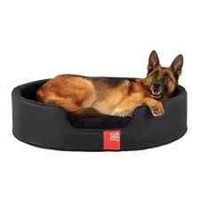 See more ideas about designer dog beds, dog bed, dogs. Designer Dog Beds For Large Dogs Ideas On Foter