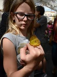 Photos: Avow Hospice's Butterfly Release