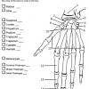 Talking concerning aging hand coloring worksheet, scroll down to see various variation of pictures to inform you more. 1