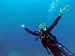 Every diver's physiology is different, and can even vary from day to day. Oceanic Geo 2 0 Dive Computer Review Openwaterhq