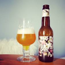 Pin On Instabeer