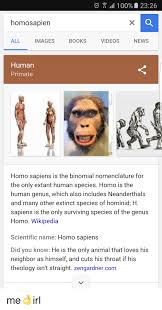 Homo sapiens m (plural homines sapientes, or sometimes homo sapiens). 100 2326 Homosapien All News Images Books Videos Human Primate Homo Sapiens Is The Binomial Nomenclature For The Only Extant Human Species Homo Is The Human Genus Which Also Includes Neanderthals And