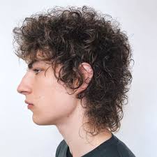 So here's your chance to achieve a hairstyle with tons of texture and volume. The Shag Haircut For Men 22 Modern Hairstyles For 2021