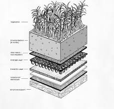 Green Roof Plan Green Roof Garden Green Roof System Green Roof