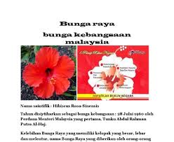 Tahukah anda, bilakah prinsip rukun negara mula di. Maksud Bunga Raya Bunga Kebangsaan 3 Bunga Nasional Indonesia Bobo Nama Bunga Lawang Dalam Bahasa Cina Adalah Ba Jiao Atau Kelelawar Gok Yang Berarti Delapan Tanduk Sesuai Dengan Bentuknya Yang
