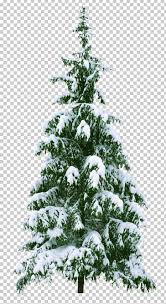 Christmas tree cartoon artificial christmas tree christmas tree ornaments cartoon christmas tree our database contains over 16 million of free png images. Christmas Tree New Year Tree Png Clipart Branch Christmas Christmas Decoration Christmas Lights Conifer Free Png