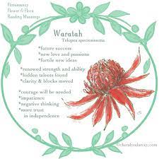5 flowers for healing an anxiety attack can have you grappling with overwhelming fear within minutes. Cheralyn Darcey Flower Reading Oracle Cards Flower Meanings Tree With Red Flowers Flowers