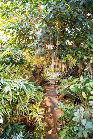 Rollhotel Im Tropenhaus Frutigen Romantisches Erlebnis Zu Zweit Tropenhaus Botanischer Garten Hotel