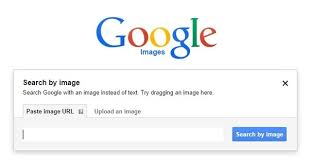 Hasil gambar untuk Picture Search