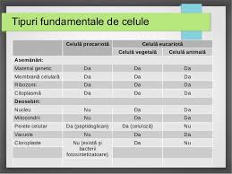 Bio Celulara Si Moleculara