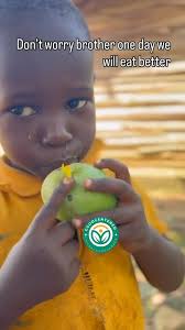 Nature's remedy! 🌿 Did you know the back of a mango tree (the bark) can be  used to treat coughs? 🌟 Simply boil the bark in water, strain, and drink  the soothing