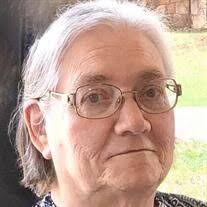 Martha Ellen Pruitt Pleasants Obituary