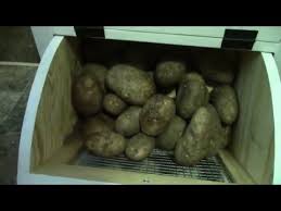 Vintage wood potato and onion storage bin box taters 'n onions. Potato Onion Bin Vegetable Bins Latest Price Manufacturers Suppliers