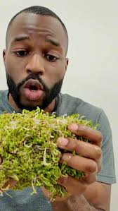 Big thanks to @thesproutingcompany for changing my sprouting game forever!  Comment “Sprouts” below and i’ll send you the link! , #sprouting #sprouts